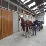 Training 02